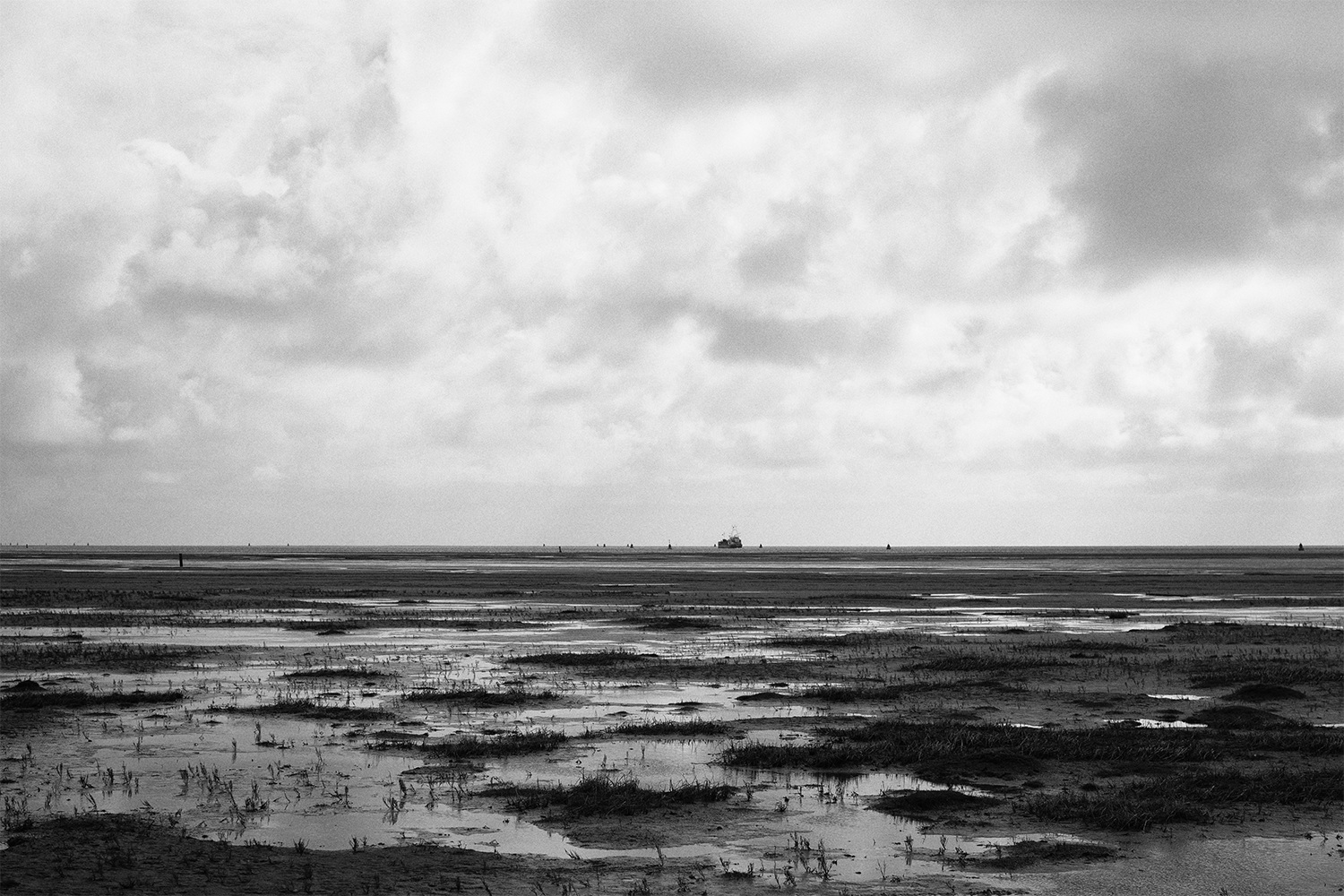 Groene strand
